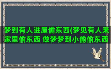 梦到有人进屋偷东西(梦见有人来家里偷东西 做梦梦到小偷偷东西是什么意思)